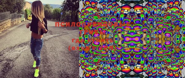 стаф Майский