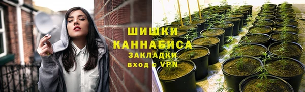 стаф Майский