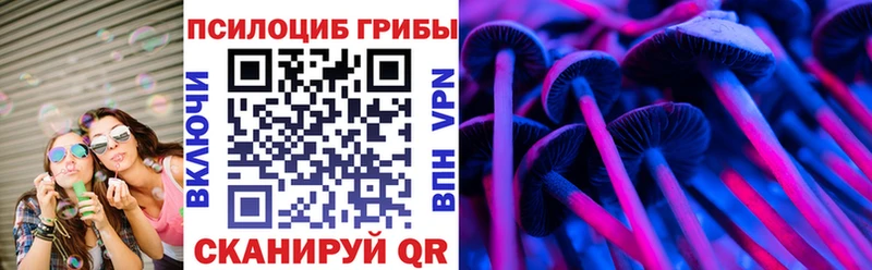 Псилоцибиновые грибы Psilocybine cubensis Александровское